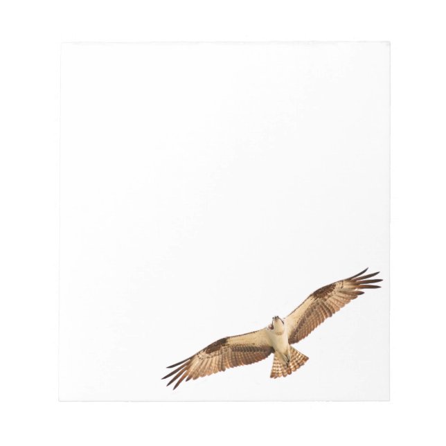Flying Hawk Notepad (Front)