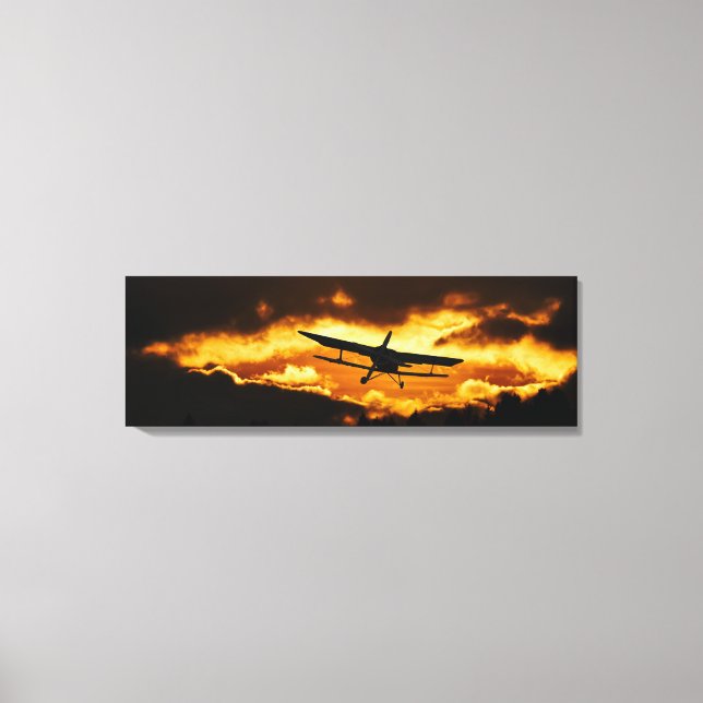 Flying Home Canvas Print (Front)