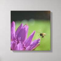 Flying Honey Bee