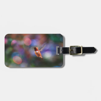 Flying Hummingbird and Colourful Background Luggage Tag