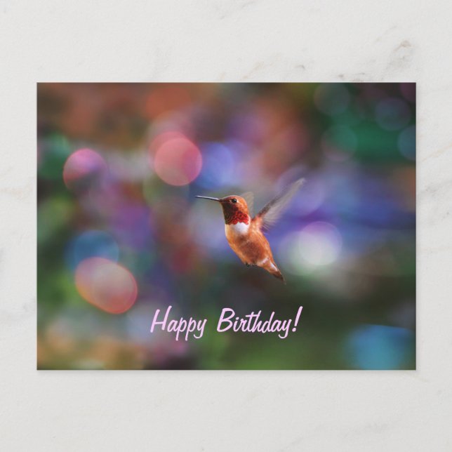 Flying Hummingbird and Colourful Background Postcard (Front)