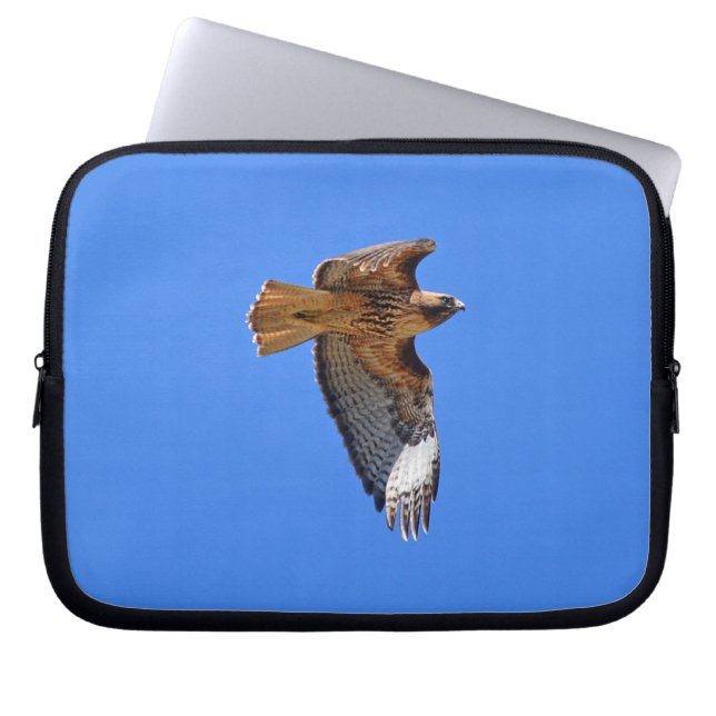 Flying Juvenile Red-Tailed Hawk Wildlife Sleeve (Front)