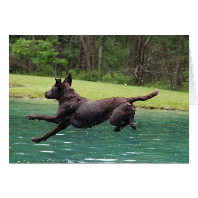 Flying leap ! (Front Horizontal)