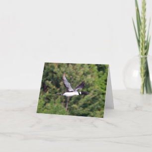Flying Loon Notecard
