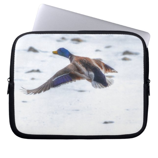Flying Mallard Duck Drake 15 Wildlife Photo Laptop Sleeve (Front)