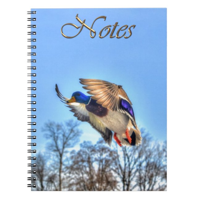 Flying Mallard Duck Drake Wildlife Photo Spiral Notebook (Front)