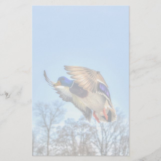 Flying Mallard Duck Drake Wildlife Photo Stationery (Front)