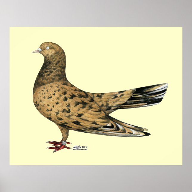 Flying Oriental Roller:  Almond Poster (Front)