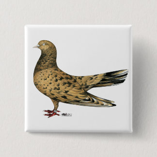 Flying Oriental Roller Pigeon Almond 15 Cm Square Badge