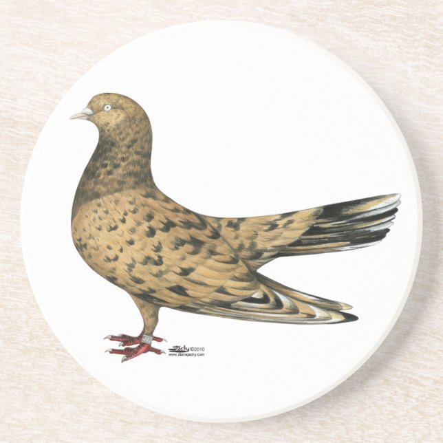 Flying Oriental Roller Pigeon Almond Coaster (Front)