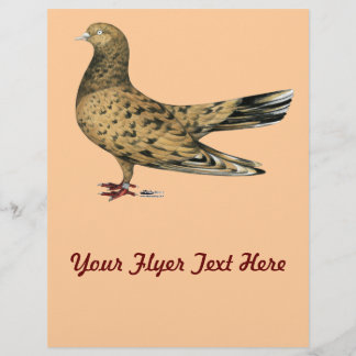 Flying Oriental Roller Pigeon Almond Flyer