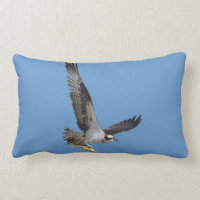 Flying Osprey & Fish Wildlife Photography