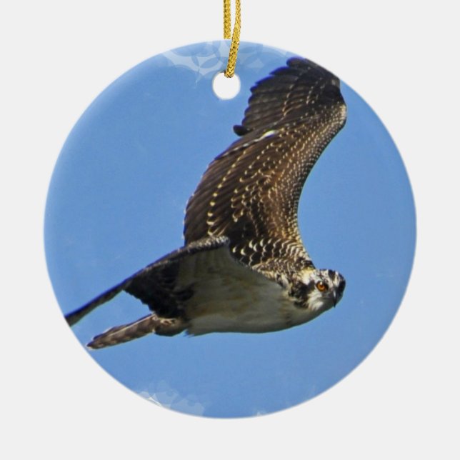 Flying Osprey Ornament (Front)