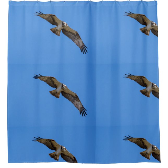 Flying osprey with a target in sight shower curtain (Front)