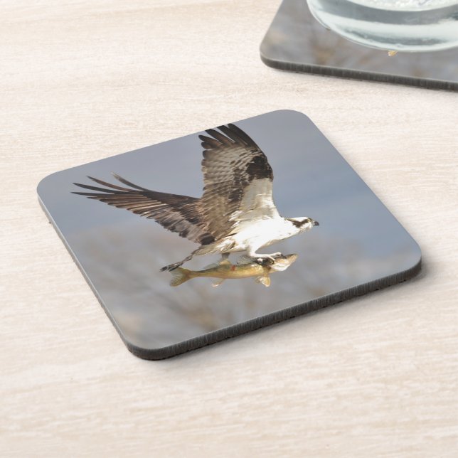 Flying Osprey with Walleye Fish HDR Photo Coaster (Left Side)