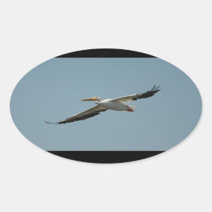 Flying Pelican 4 Sticker