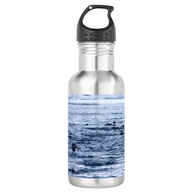 Flying penguin 710 ml water bottle (Front)
