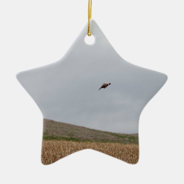 flying pheasant ceramic tree decoration (Front)