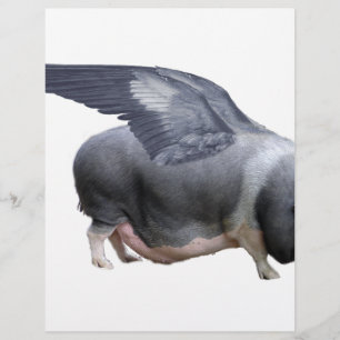 flying pig