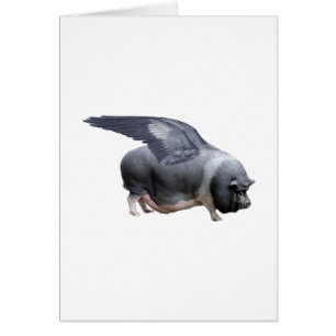 flying pig