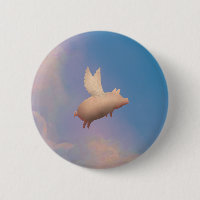 flying pig button