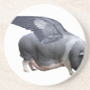 flying pig coaster