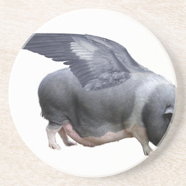 flying pig coaster (Front)