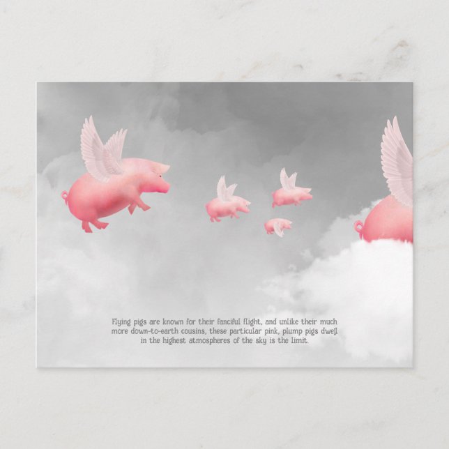 Flying Pig Postcard (Front)