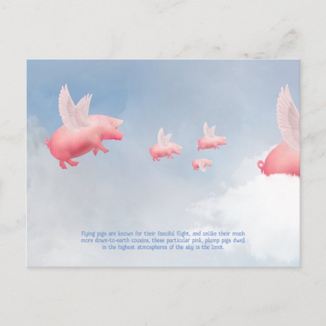 Flying Pig Postcard (Front)