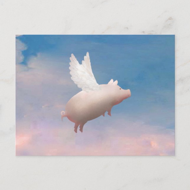 flying pig postcard (Front)