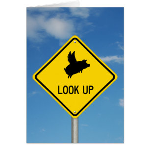 Flying Pig Road Sign