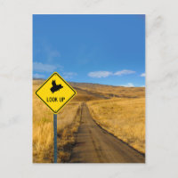 Flying Pig Road Sign