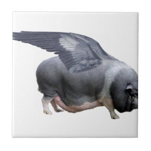 flying pig tile