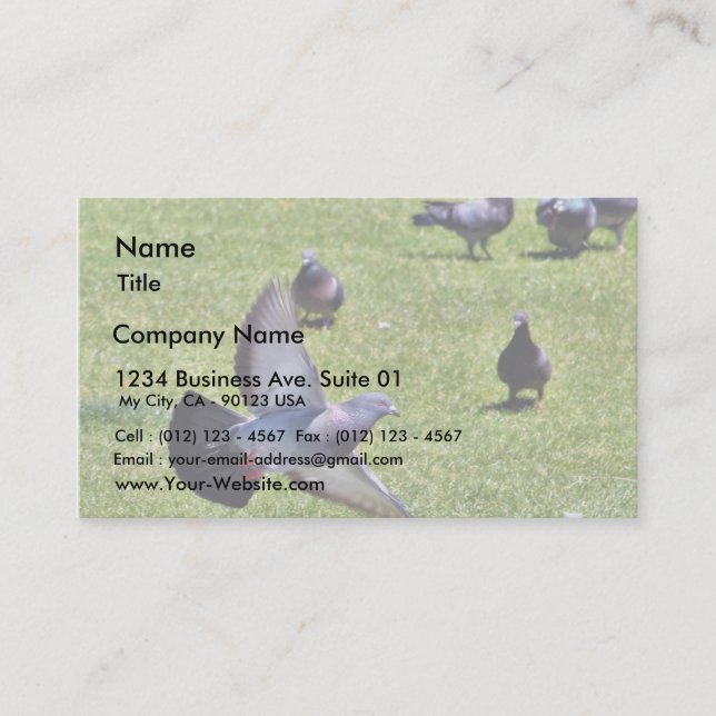 Flying Pigeon Business Card (Front)