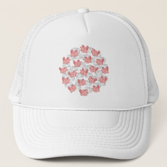 Flying Pigs hat - choose colour (Front)