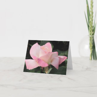 Flying pink rose card