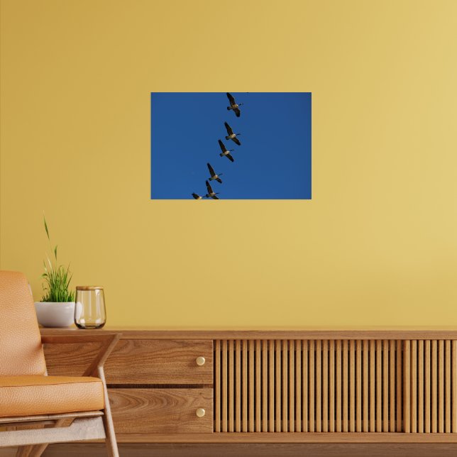 Flying Poster (Living Room 2)