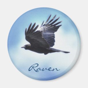 Flying Raven in Blue Sky HDR Photo Design 2 Magnet