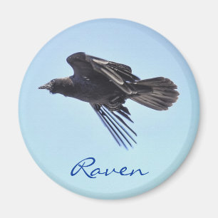 Flying Raven in Blue Sky HDR Photo Design Magnet