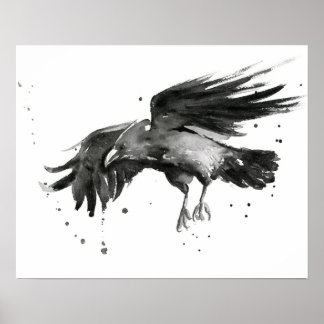 Flying Raven Painting Watercolor Poster Print