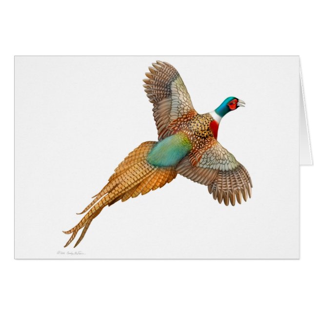 Flying Ringneck Pheasant Card (Front Horizontal)