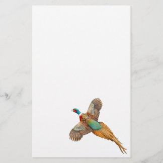 Flying Ringneck Pheasant Stationery