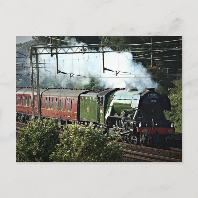 Flying Scotsman On The Mainline (5539) Postcard (Front)