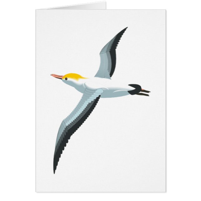 Flying Seagull (Front)