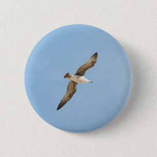 Flying seagull 6 cm round badge