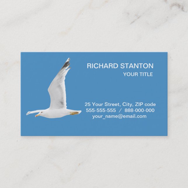 Flying seagull business card (Front)