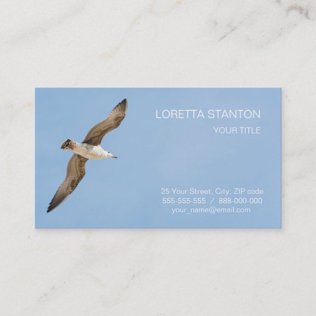 Flying seagull business card (Front)