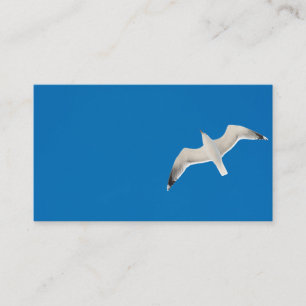 Flying seagull business card