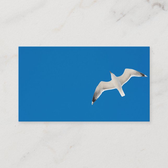 Flying seagull business card (Front)