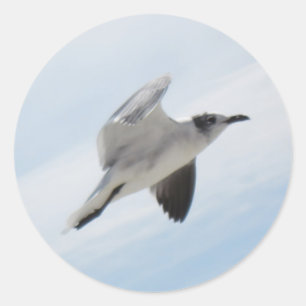 Flying Seagull Classic Round Sticker